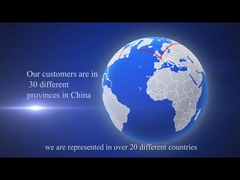 Introducción de la empresa